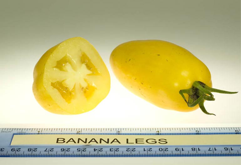 Помидор Банановые Ноги Отзывы Фото