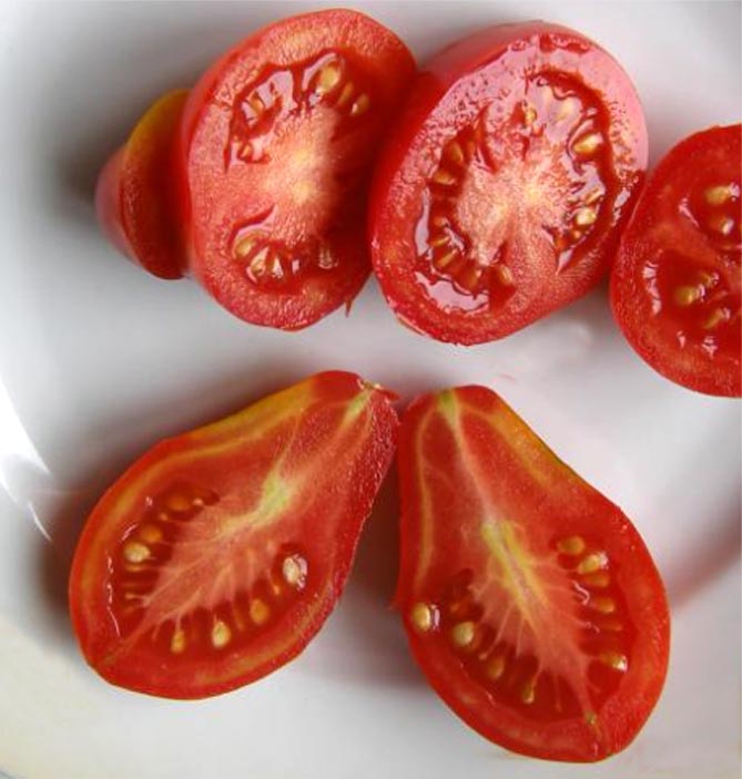 Рейтинг лучших сортов томатов: посадка и уход