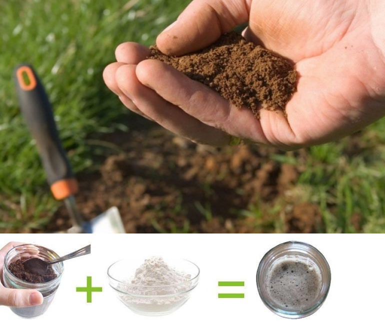 Как определить кислотность почвы – способы и средства для проверки