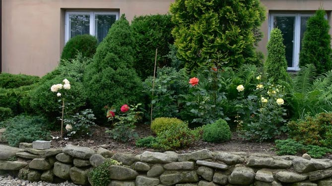 Оформление газонов и клумб возле дома фото – Клумбы во дворе частного дома: фото и секреты оформления