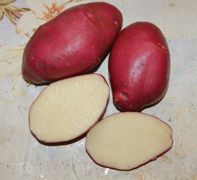 Сорта красного картофеля фото и описание